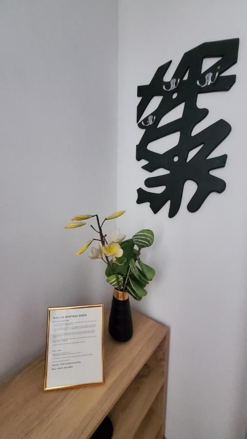 Apartmani Blue I Green 布戈伊诺 外观 照片
