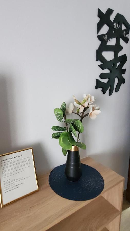 Apartmani Blue I Green 布戈伊诺 外观 照片